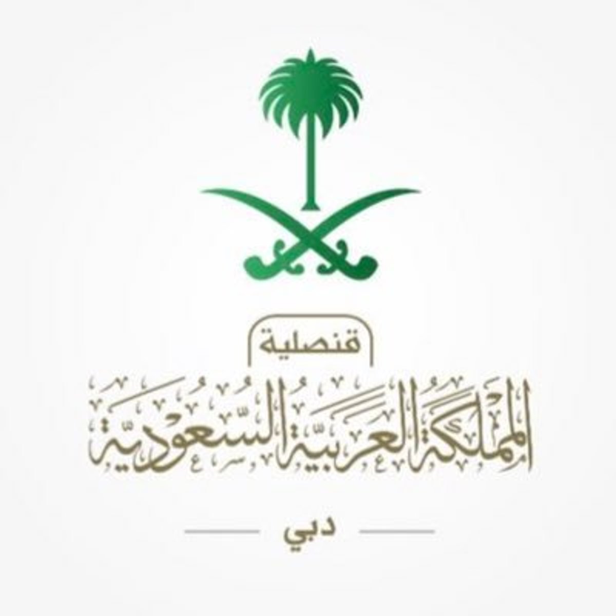 القنصلية في دبي تطالب المواطنين بالتواصل مع خطوط الطيران لتأكيد حجوزات عودتهم