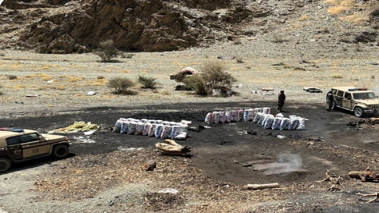 القبض على مخالف لقطع الأشجار وتخزين الحطب المحلي بالمدينة المنورة