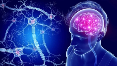 الشم مدخلاً للإصابة بـ 'باركنسون'