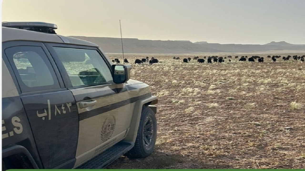 أحمد حجازي خارج حسابات الزمالك