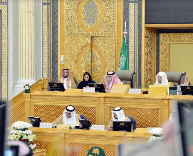 أبرزها مرصد الأسعار.. 5 منجزات لوزارة التجارة أمام مجلس الشورى