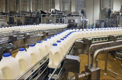 إنفلونزا الطيور تصل للألبان بأمريكا