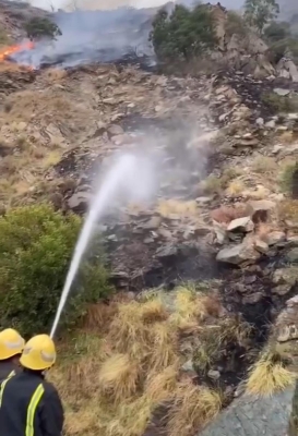 الدفاع المدني يباشر حريقي أشجار في الرس والباحة