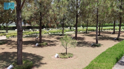 شجرة الملك فيصل.. أصلها ثابت وفروعها بأرجاء باكستان