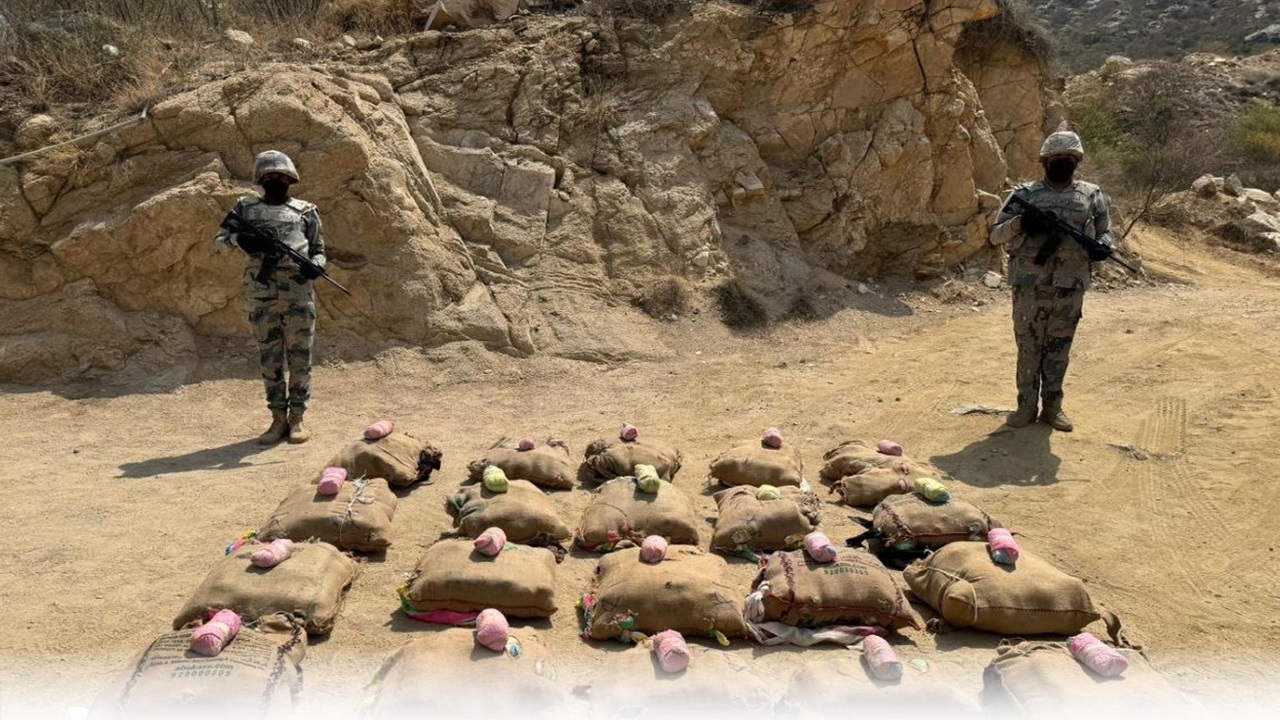 إحباط تهريب 400 كيلوجرام من القات بجازان