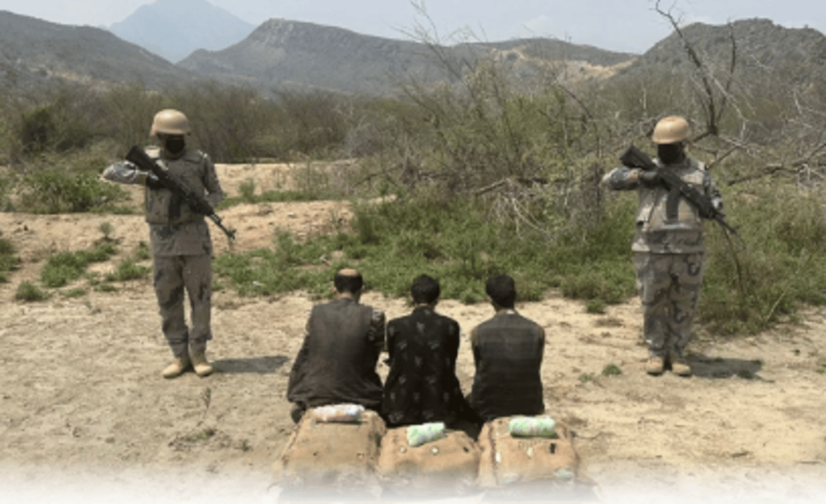 القبض على 3 مخالفين لنظام أمن الحدود لتهريبهم 70 كجم من القات بجازان