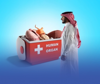 التبرع بالأعضاء بعد الوفاة.. أمل يغرسه 533 ألف شخص
