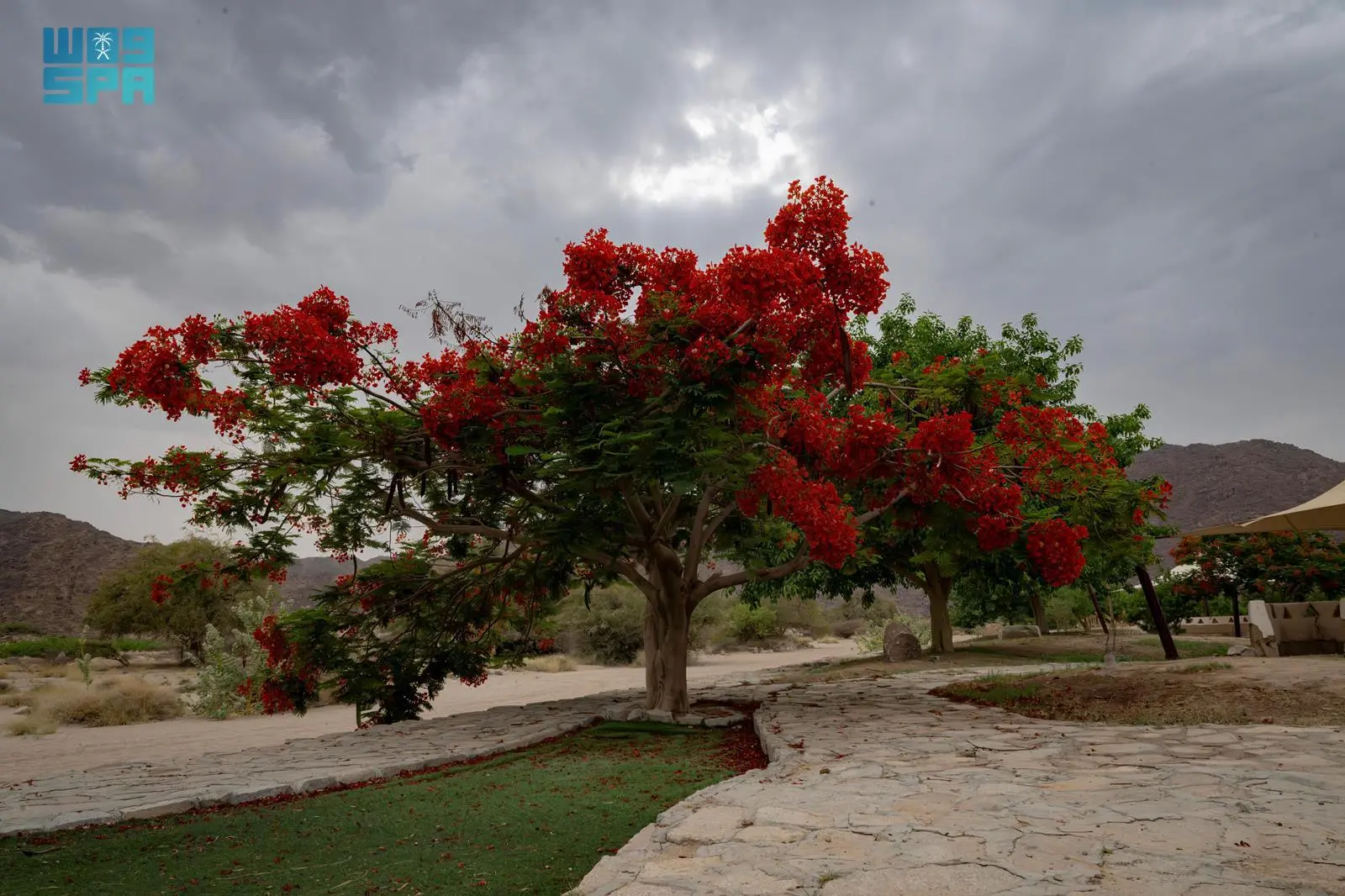 متنزه موعاة بنجران جمال الطبيعة البكر والهدوء والاسترخاء