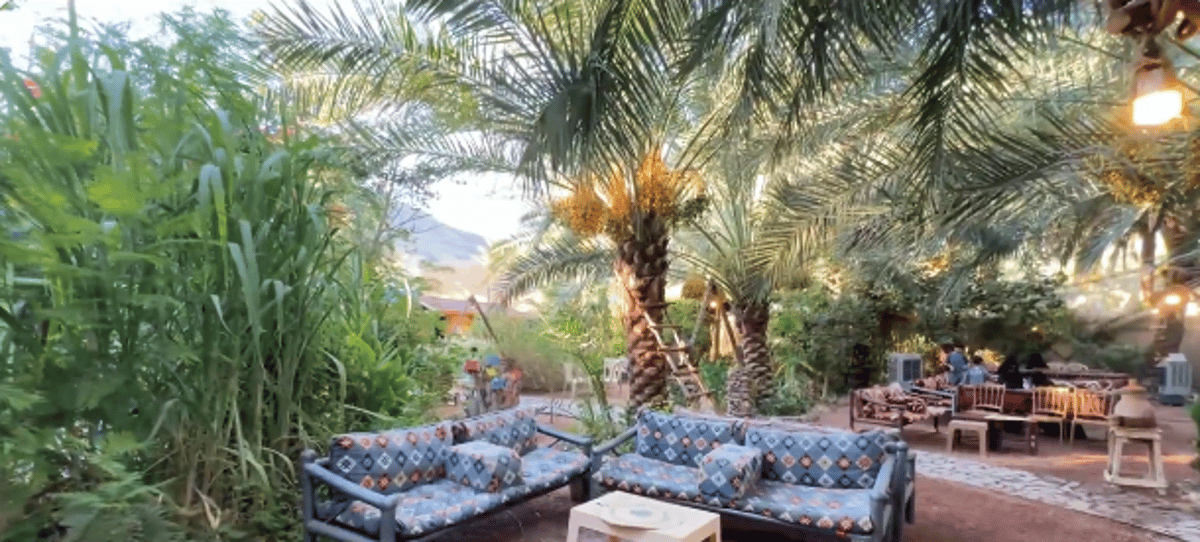 المزارع الريفية..  وجهة سياحية مزجت الجمال الطبيعي والتراث في حائل