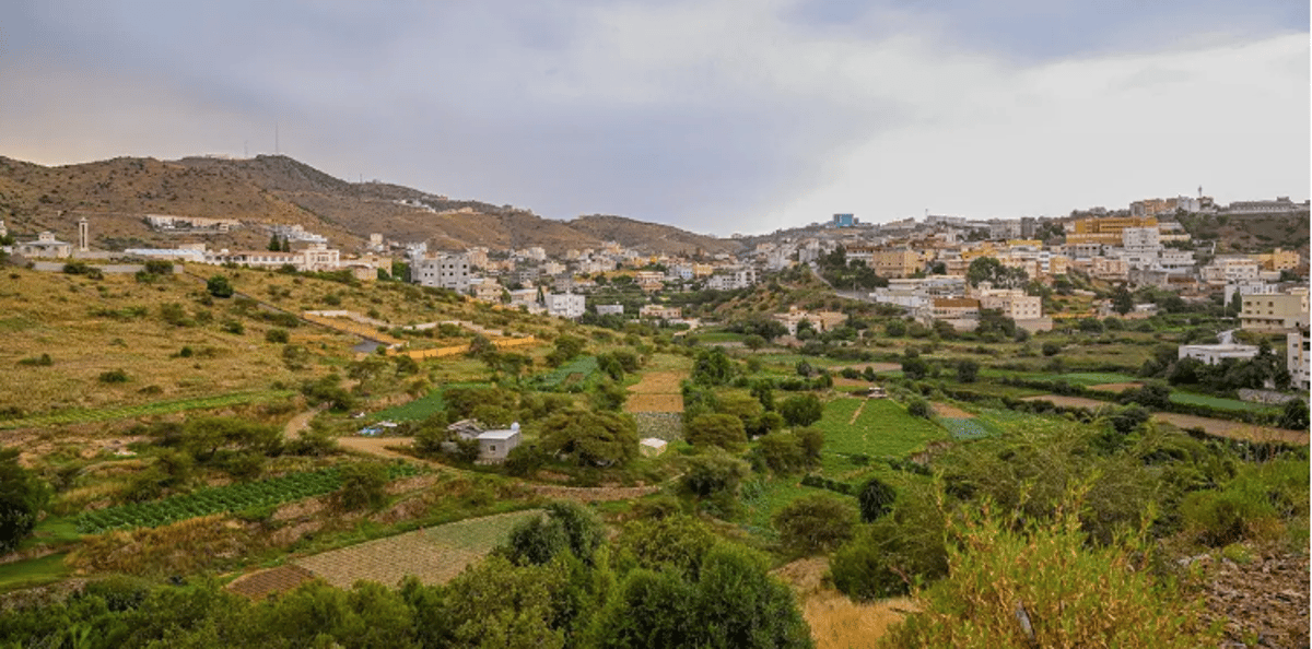 الأمطار الغزيرة تُعيد الحياة إلى المدرجات الزراعية ومزارع وبساتين الباحة