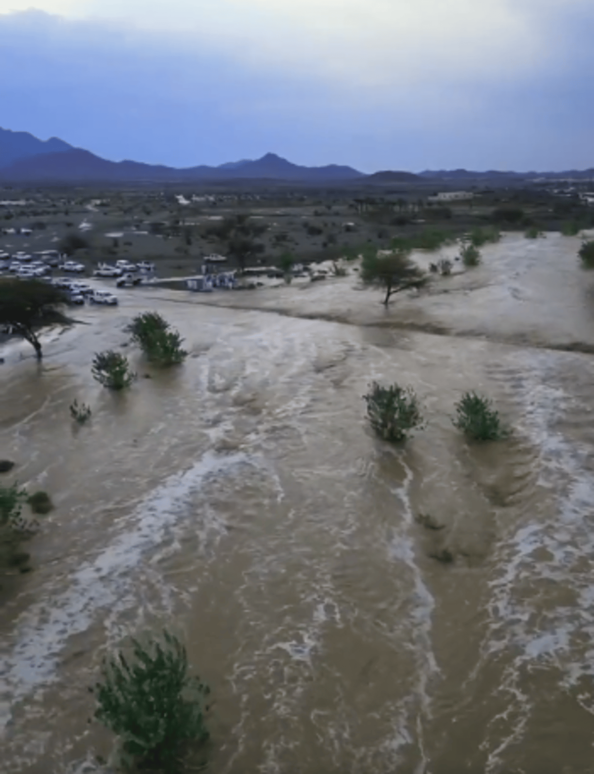 «الدفاع المدني» يحذر من الحالة المناخية في عسير
