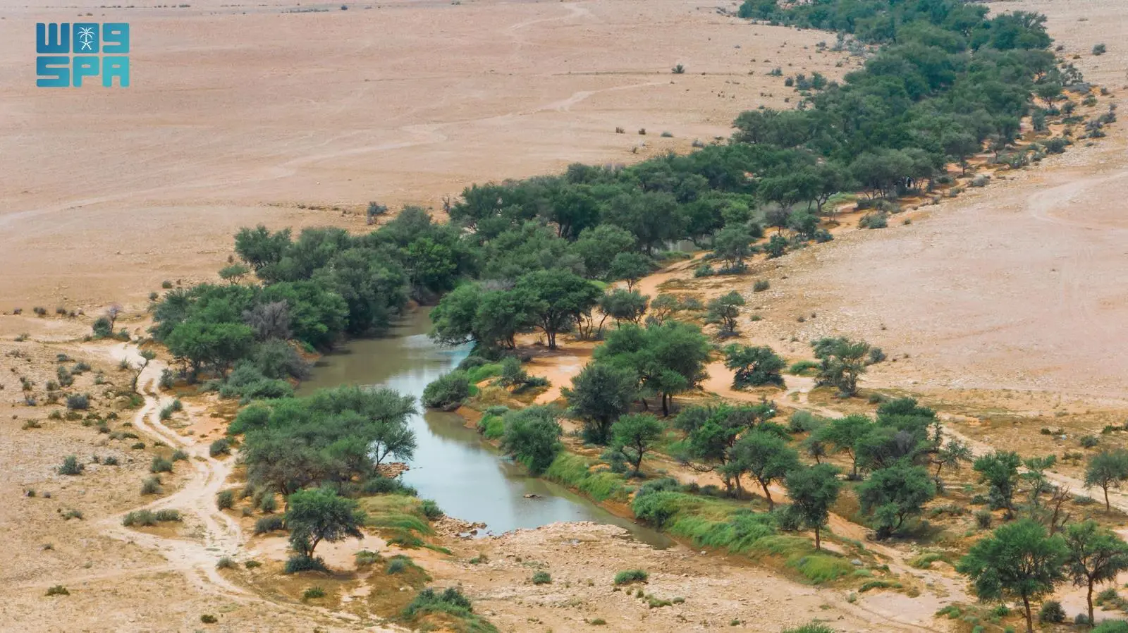 محمية الملك عبدالعزيز الملكية تحظر الصيد ضمن نطاقها