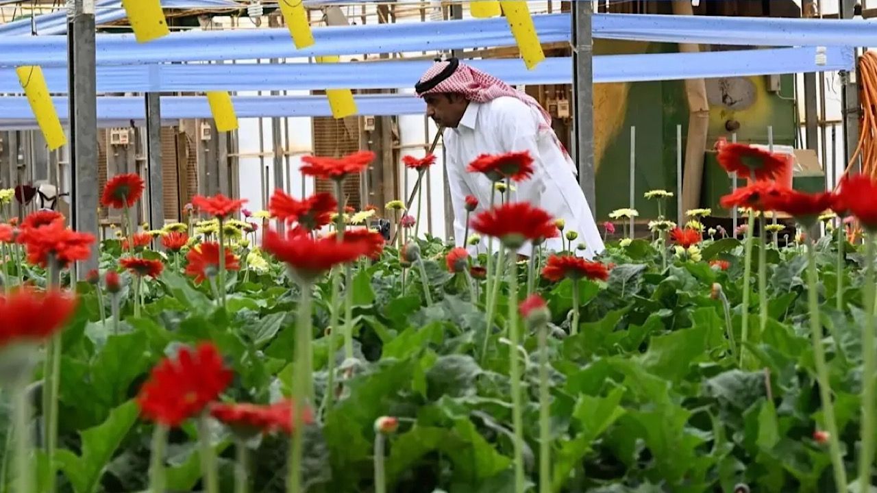 ميسي يمنع حارسه الشخصي من دفع مشجع طلب التصوير معه .. فيديو