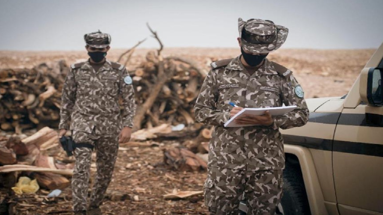 الإطاحة بـ 4 مخالفين لتهريبهم 35 كيلوجرام من الحشيش المخدر بعسير