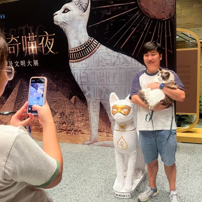 'ليلة مواء' للقطط في معرض للآثار المصرية بالصين