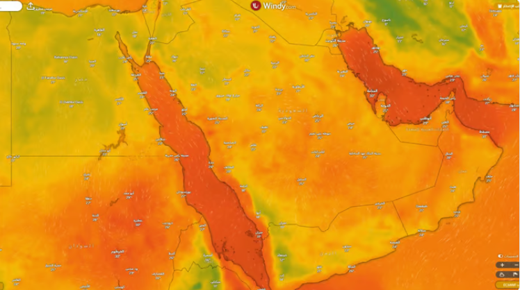 “الحصيني”: 10 أيام ويطل علينا “الوسم”.. توقعاتٌ بأمطار متفاوتة على مناطق عدة