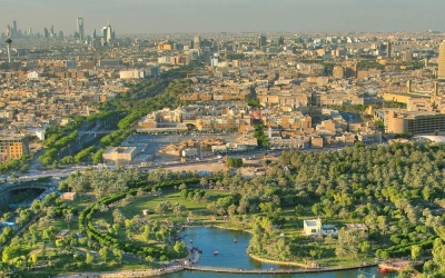 زراعة 95 مليون شجرة منذ انطلاق 'السعودية الخضراء'