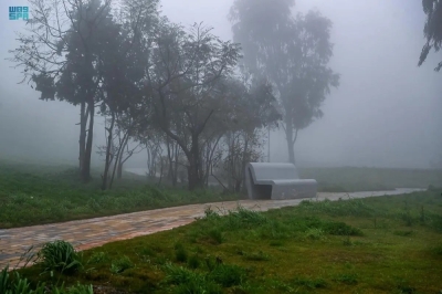 إنذار أحمر بضباب كثيف على الشرقية