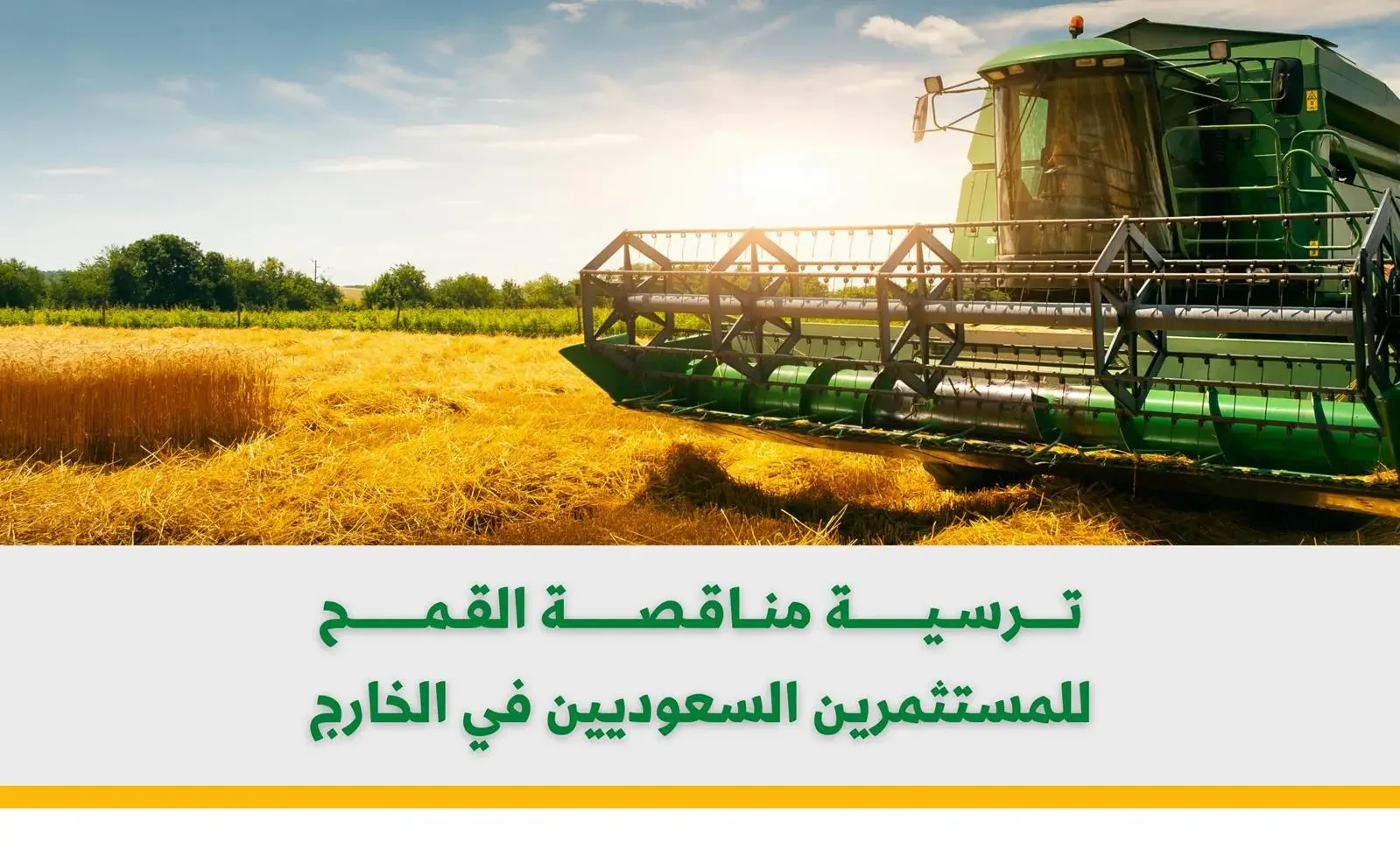 الهيئة العامة للأمن الغذائي تُرسي المناقصة الثانية للمستثمرين السعوديين في الخارج