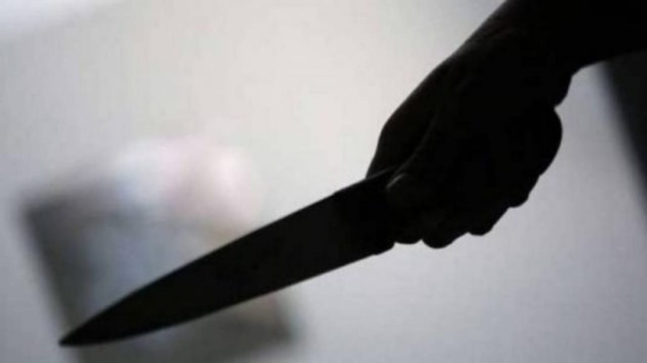 باسم يوسف بطريقة ساخرة : تركت القيادة لنجوي كرم