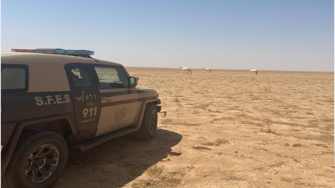 كوريا الشمالية تفجر السكك الحديدية والشوارع المؤدية لكوريا الجنوبية .. فيديو