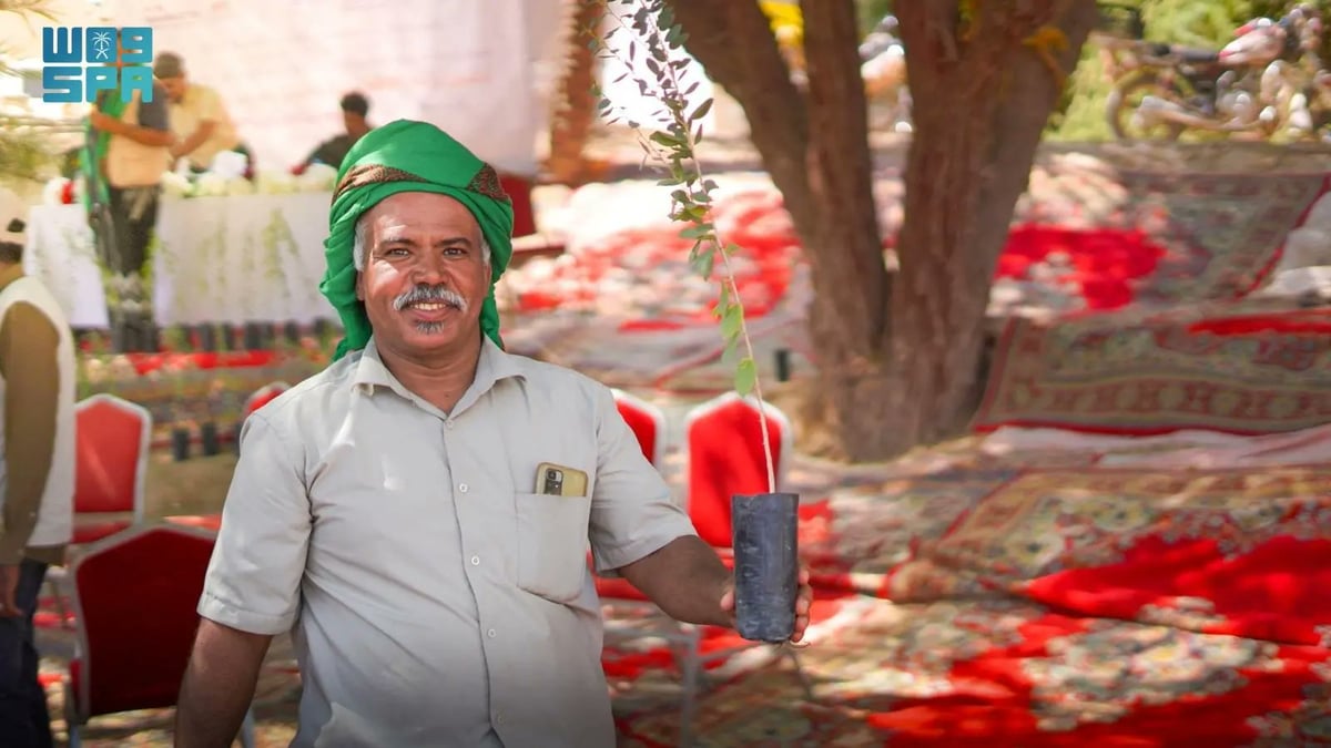 زراعة 5870 شجرة سدر في مديرية شبام باليمن ضمن مشروع تعزيز الوصول إلى الأسواق