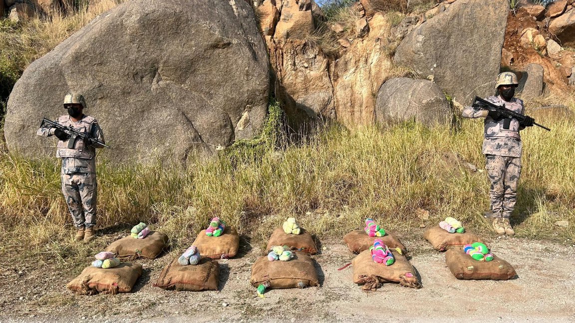 حرس الحدود بمنطقة جازان يحبط تهريب 250 كيلوجرامًا من نبات القات المخدر