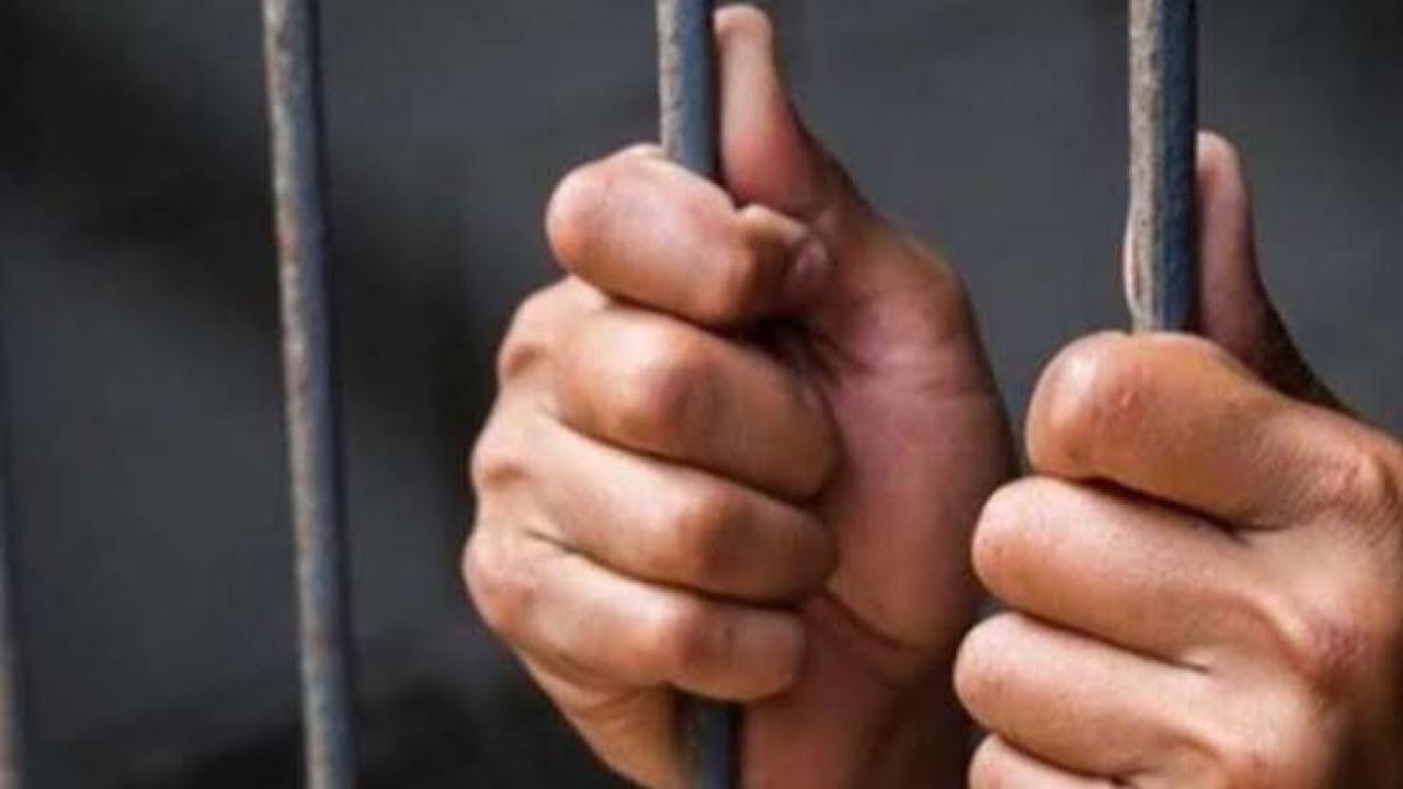 الإصابات تضرب الشناوي وعمر كمال في تدريبات الأهلي المصري