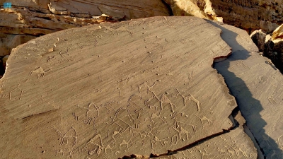 نقوش الإبل.. علامات توثِّق علاقة تاريخية بالمملكة