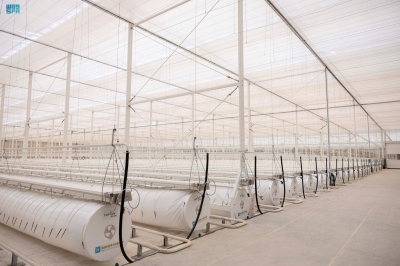 'نيوم'  تطلق أول بيت زراعي محمي في 'أوكساچون'