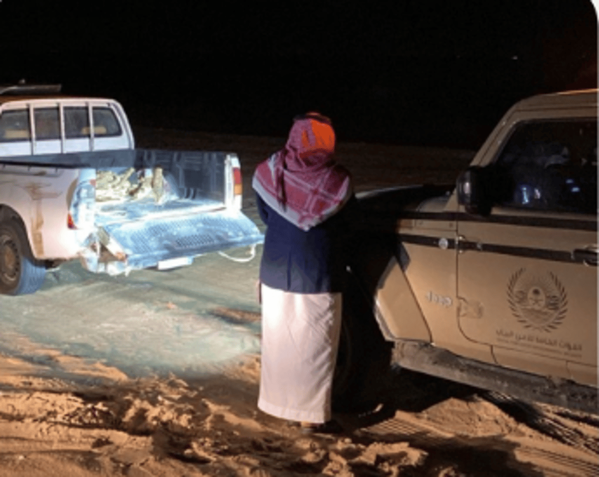 ضبط مواطن مخالف لنظام البيئة لنقله حطبًا محليًا في المنطقة الشرقية