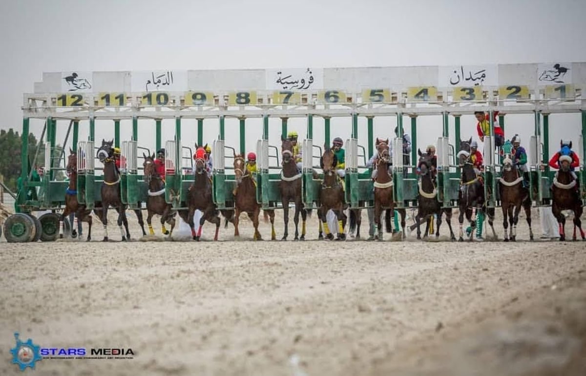 31 جواداً تتأهب للتأهل للمشاركة في أشواط أبطال الميادين بميدان الملك عبدالعزيز بالرياض