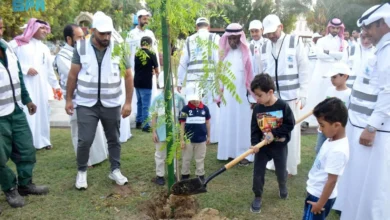 أمانة الشرقية ترصد جهودها في زيادة الغطاء النباتي للعام 2024