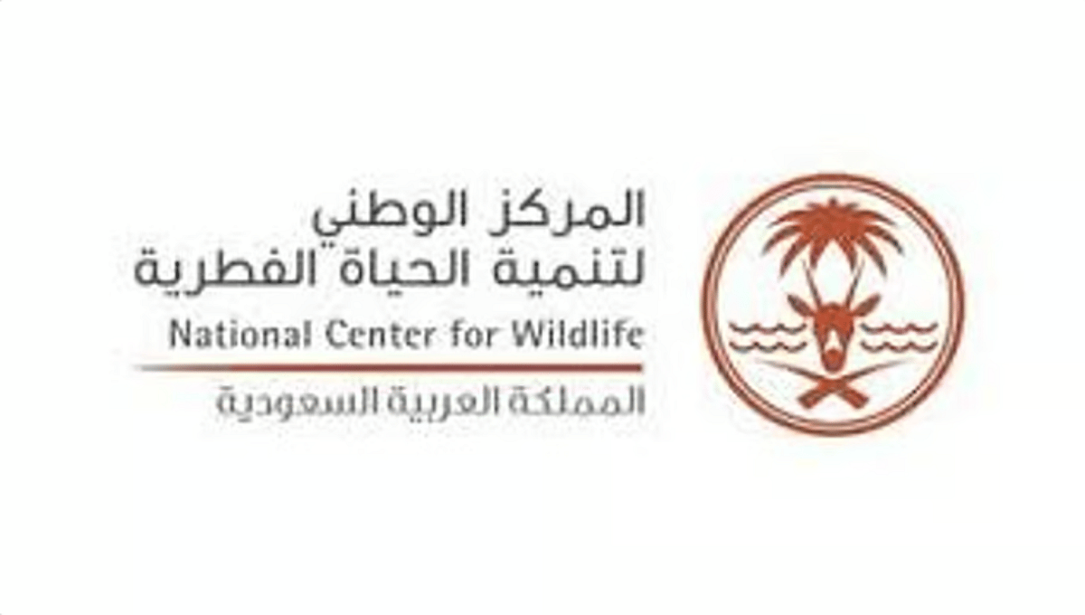 «الحياة الفطرية»: اكتشاف مومياوات الفهد الصياد دليل انتمائه لشبه الجزيرة العربية