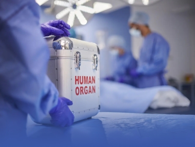 زراعة الكلى التبادلية تصل إلى 9 عمليات ناجحة