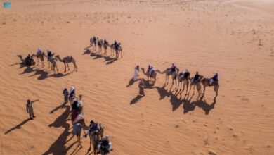 'سلومنا'.. جسر الموروث للأجيال الصاعدة