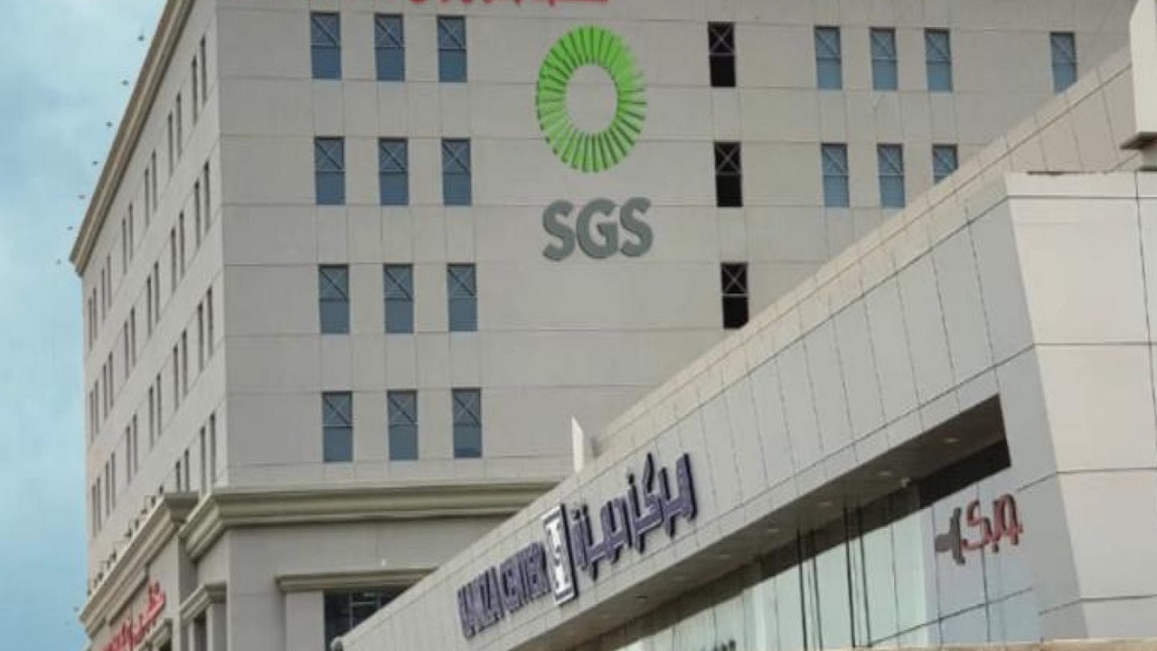 استشاري يوضح كيفية اكتشاف عروض العمل الوهمية.. فيديو