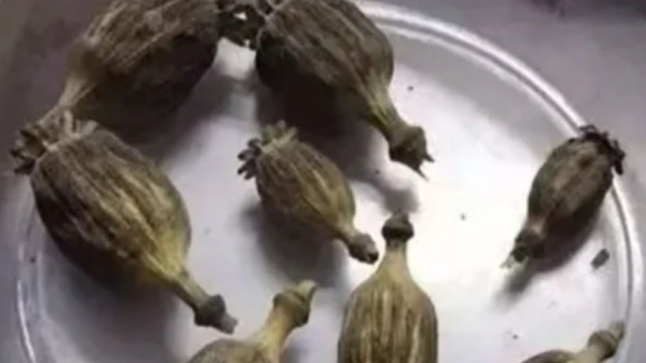 جاسم المطوع : ‏5 علامات تدل علي نجاح تربية الأبناء .. فيديو