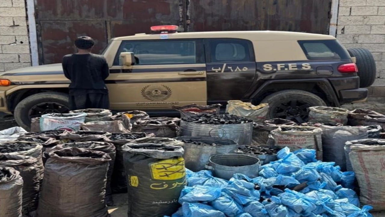 ‎شركة البحر الأحمر الدولية تعلن يوم التوظيف بجدة والمدينة ومكة المكرمة